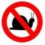 snails